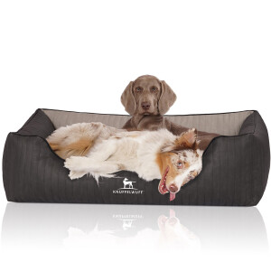 Knuffelwuff Outback Panier orthopédique pour chien...