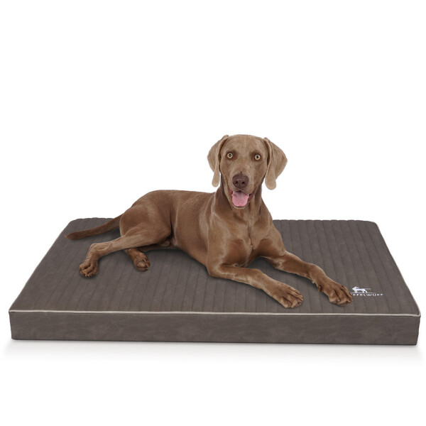 Knuffelwuff Tapis pour chien orthopédique Palomino en simili cuir avec surpiquage au laser L 80 x 60cm Gris-marron
