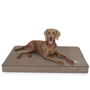 Knuffelwuff Tapis pour chien orthopédique Palomino...
