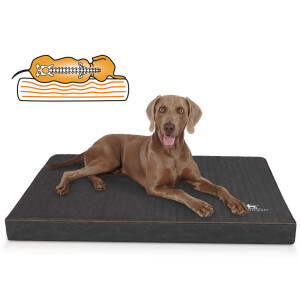 Knuffelwuff Tapis pour chien orthopédique Palomino...